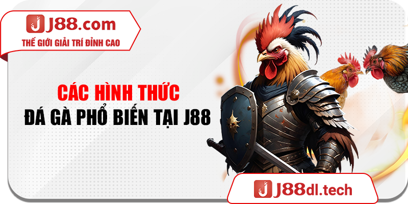 Các hình thức đá gà phổ biến tại J88