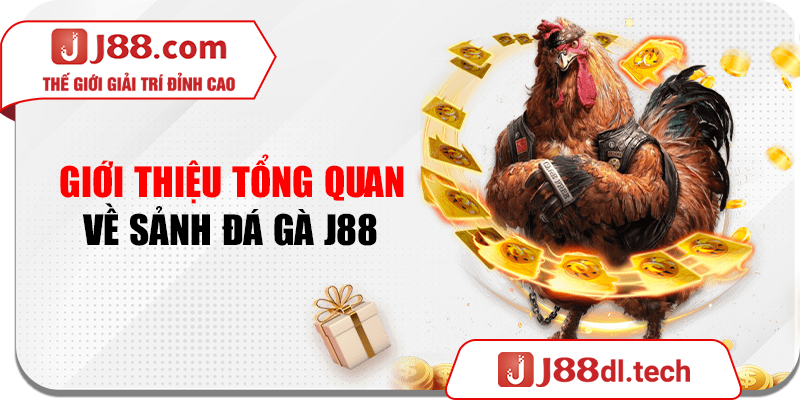 Giới thiệu tổng quan về sảnh đá gà J88