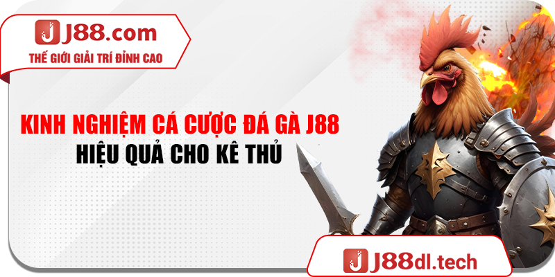 Kinh nghiệm cá cược đá gà J88 hiệu quả cho kê thủ